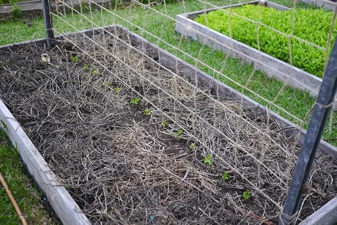 Plant Trellis Netting 5 * 15FT Heavy-Duty Polyester Grow Net, Garden Trellis Netting with Square Mesh for Climbing Plants, Vegetables, Fruits and Flowers
