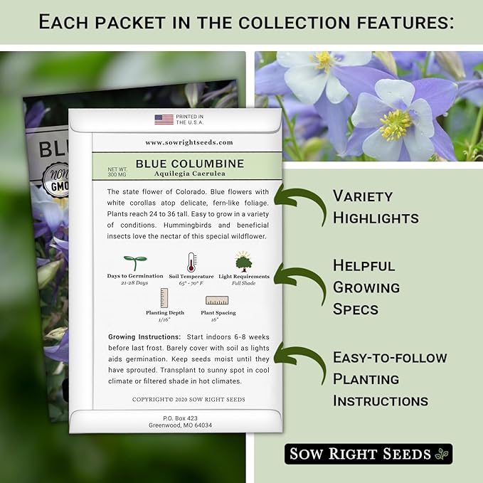 Sow Right Seeds - Perennial 5 Flower Garden Seed Collection for Planting - Russell Lupine, Black-Eyed Susan, Shasta Daisy, Purple Coneflower & Blue Columbine - Non-GMO Heirloom Packets Home Gardening