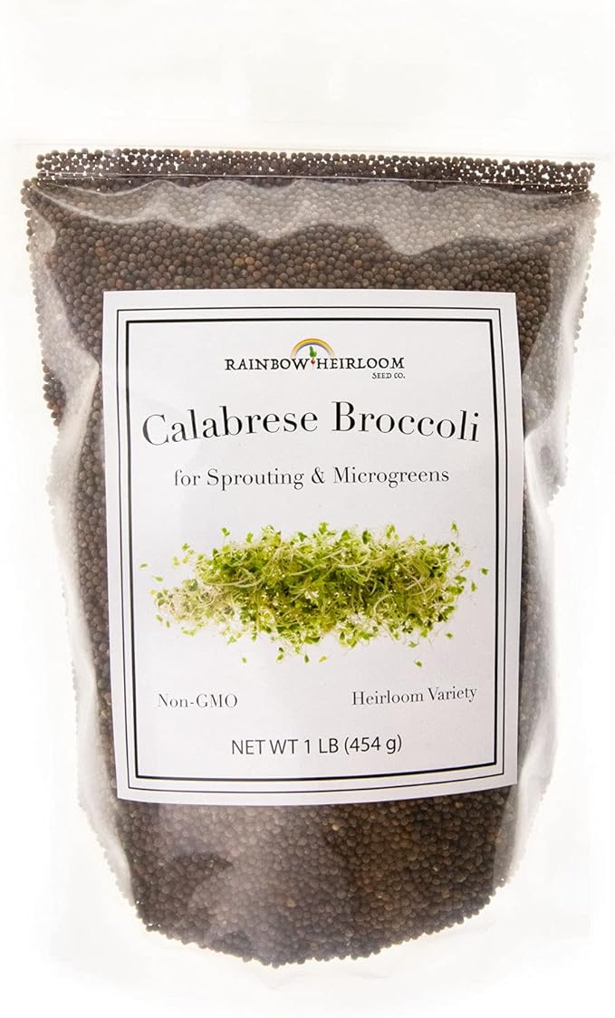Broccoli Seeds for Sprouting & Microgreens | Calabrese Variety | Non GMO & Heirloom Seeds | Bulk 1 LB Resealable Bag | Rainbow Heirloom Seed Co.