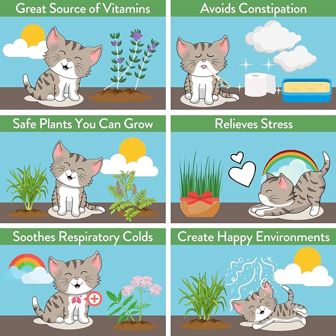 HOME GROWN 2,160+ Cat Plant Seeds Mix – Non GMO Heirloom Catnip, Lemongrass, Licorice, Thyme & Valerian – Pet-Friendly Indoor Garden Refill Kit for Cats & Kittens