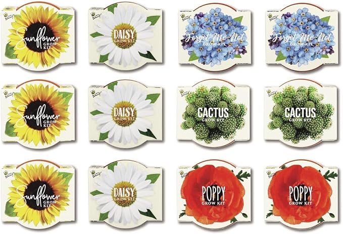 BUZZY Seeds Mini Terracotta Pots 12-Pack with Plant Seeds, Poppy, Sunflower, Daisy, Cactus and Forget Me Not, All-in-One Seed Starter Kit, Indoor Outdoor Gardening Gift, Wedding Favors, Mother's Day