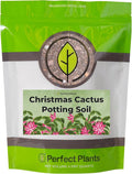 All Natural Christmas Cactus Potting Soil by Perfect Plants | Made in The USA | Christmas Cactus & Other Succulent Varieties | Formulated for Proper Drainage (4qt)