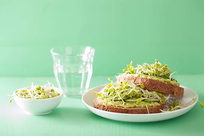 Food to Live Organic Radish Seeds for Sprouting, 8 Ounces Non-GMO, Edible Seeds, Pure, Vegan, Kosher, Bulk. Spicy, Rich in Vitamin C. High Germitation Rate. Grow Sprouts, Microgreens for Salad