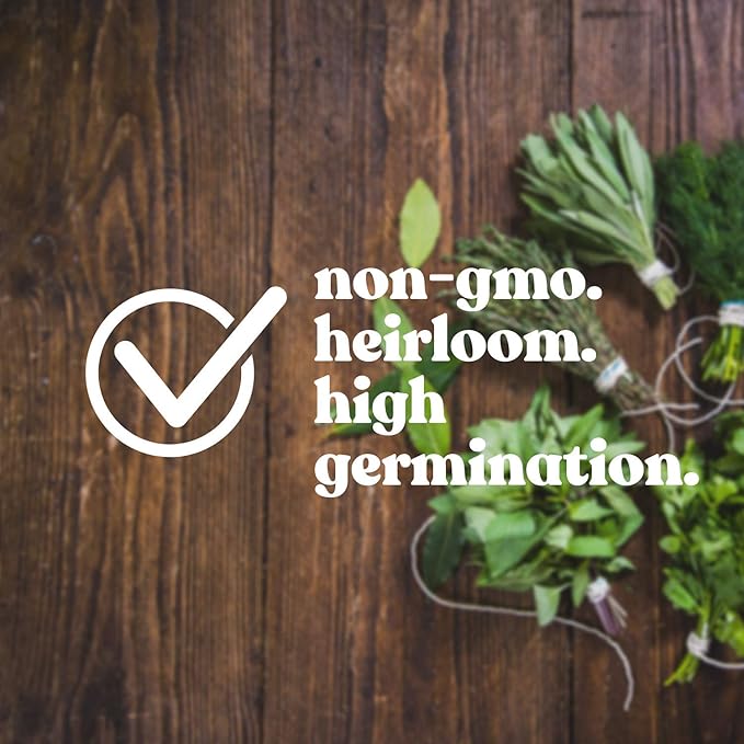 Licorice (Anise) Basil Herb Garden Seeds - 2 g Packet ~1000 Seeds - Non-GMO, Heirloom - Culinary Gardening Seeds - Ocimum basilicum