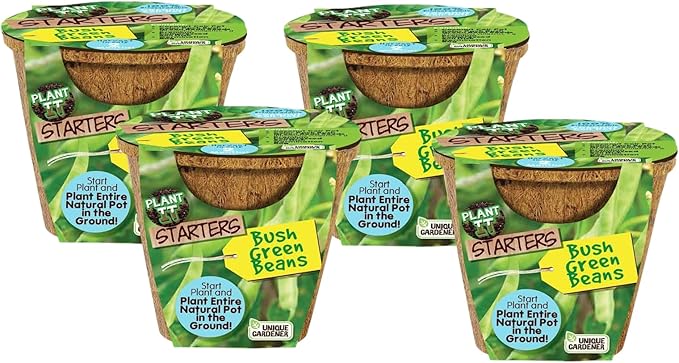Plant-It Starters Plant Seeds 4-Pack, DIY Indoor Succulents and Live Plants for Home or Garden Planting, Green Bush Beans