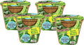 Plant-It Starters Plant Seeds 4-Pack, DIY Indoor Succulents and Live Plants for Home or Garden Planting, Green Bush Beans
