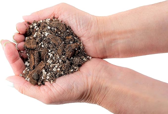 Gardenera Fiddle Leaf Fig House Plant Soil Premium All Purpose Blend - Peat Moss, New Zealand Bark, Coco Chips and Fibers, Perlite - 2 Quart Bag