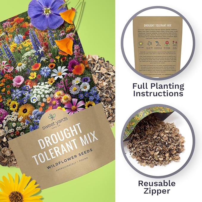 Drought Tolerant Wildflowers Mix – Bulk 1 Pound Bag – Over 120,000 Open Pollinated Non-GMO Seeds – 21 Different Dryland Species
