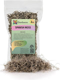 Gardenera Premium Natural Spanish Moss | Natural Preserved - Great Ground Cover - Filler for Potted Plants - 2 Quart Bag (GRD-SPANISH-MOSS-2QT)