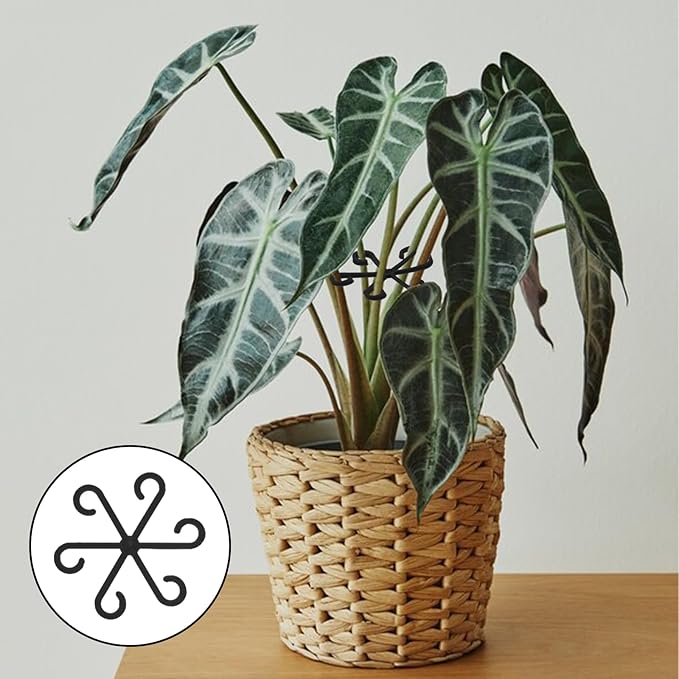 4 PCS Plant Stabilizer for Indoor Plants, 4 Sizes Climbing Houseplant Stem Support, Plastic Plant Climbers Stem Holders Reusable Climbing Plants Stakes for Indoor Outdoor Growth Accessories (Black)