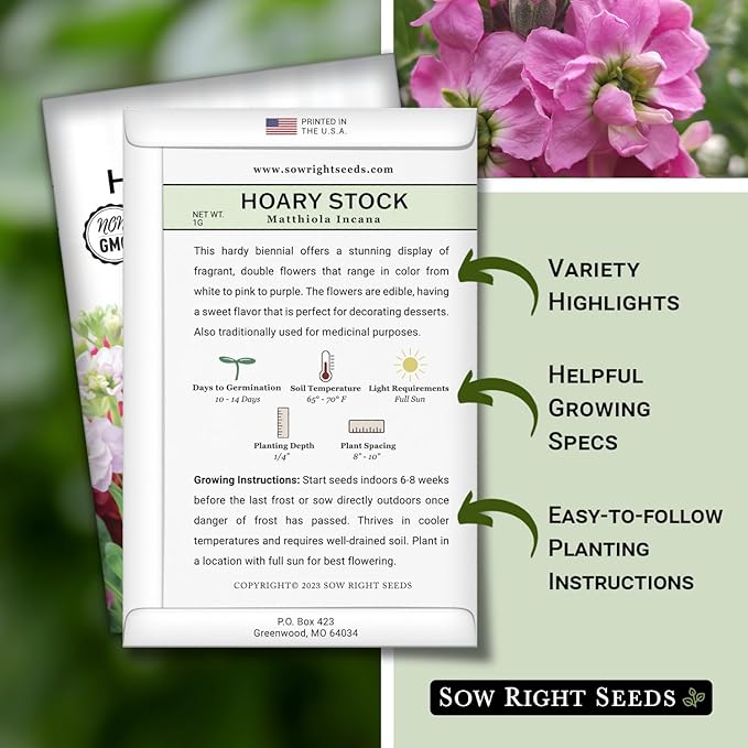 Sow Right Seeds - Hoary Dwarf Mix Stock Seeds for Planting - Non-GMO Heirloom Packet with Instructions to Plant an Outdoor Cottage Garden - Sweet Scented Double Flowers for Patios & Containers (3)