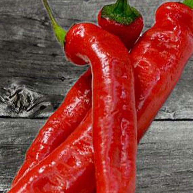 Chile De Arbol Pepper Seeds - 250 mg ~30 Seeds - Non-GMO, Heirloom, Open Pollinated Vegetable Gardening Seeds - Hot Pepper Seed