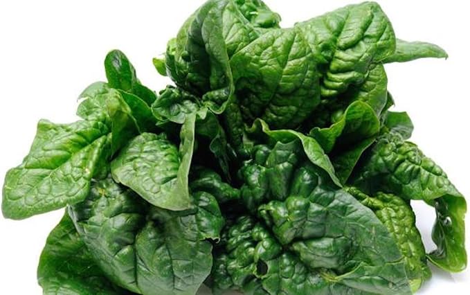 Seeds Vegetable Four Season Spinach Giant - 300 Seeds