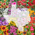 Eastern Texas Bulk Perennial Wildflower Seed Mix 1lb Covers 2,000sq-ft - Attract Pollinators, Multi-Color Blooms - Southeast US Species Plant in Spring/Fall, Earth-Friendly Packaging (1 Pound)