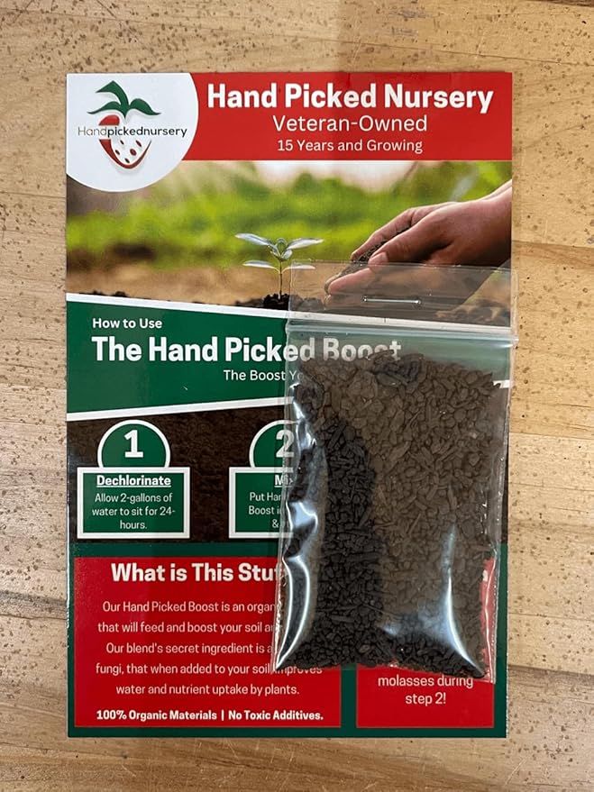 Mary Washington 25 Live Asparagus Bare Root Plants -2yr-Crowns from Hand Picked Nursery