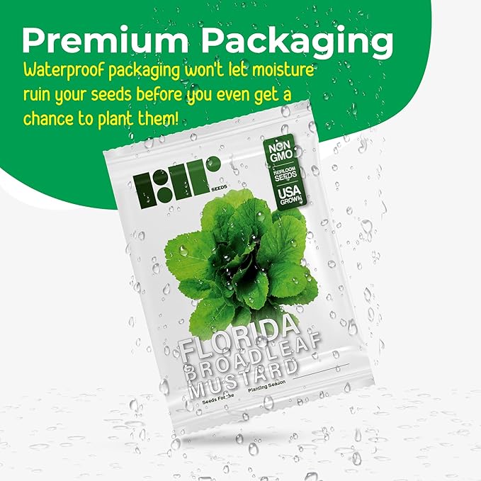 2000 Florida Broadleaf Mustard Seeds for Planting - Heirloom, Non-GMO, USA Grown - Brassica Juncea