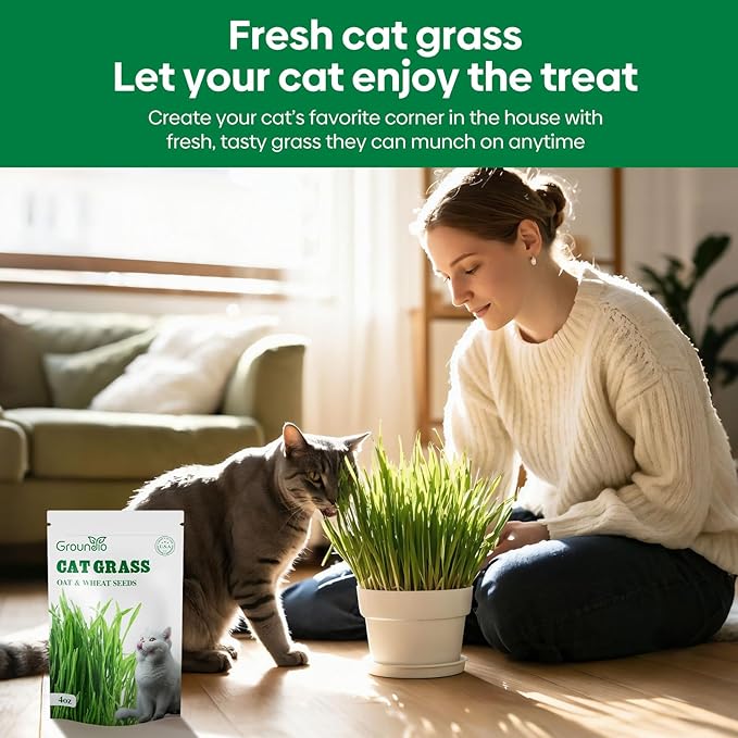 Cat Grass Seeds, 4 Oz, Non-GMO Wheat Cat Grass Seeeds & Oat Seeds Mix, High Germination Cat Grass Seeds Grown in USA for Indoor Cats