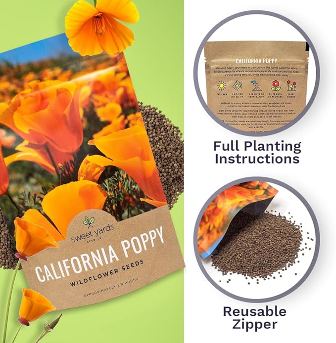California Orange Poppy Wildflower Seeds - Bulk 1/4 Pound Bag - Over 80,000 Native Seeds - California State Flower!