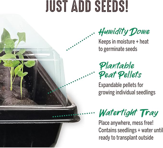 Ferry Morse Jiffy Seed Starting Greenhouse Tray Kit with 72 36mm Peat Pellets and Bonus SUPERthrive Sample + Plant Markers, 2 Pack, 144 Pellets Total