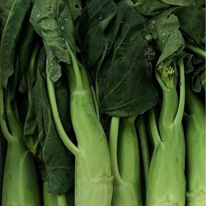 Broccoli Seeds - Chinese Broccoli - Big Stem - 1 Lb ~144000 Seeds - Non-GMO, Heirloom - Asian Garden Vegetable & Microgreens