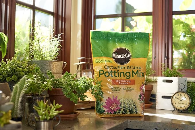 Miracle-Gro Cactus, Palm and Citrus Potting Mix, for Indoor or Outdoor Container Plants, Great for Succulents, 8 qt. (Pack of 2)