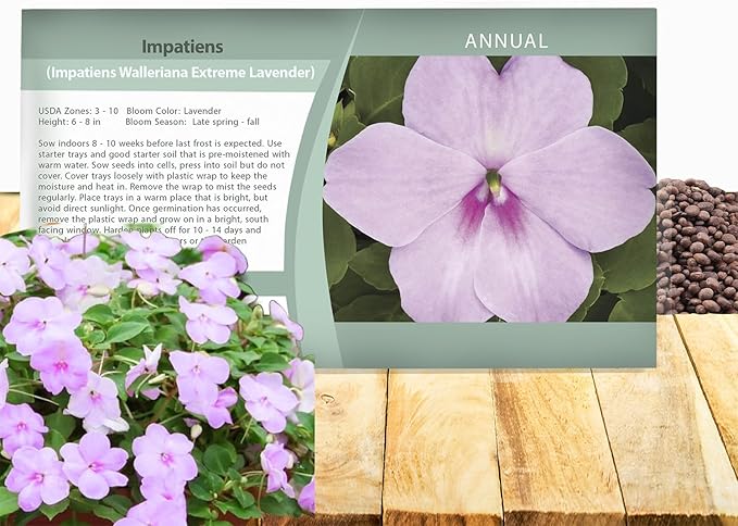 Outsidepride Extreme Lavender Impatiens Flower Seeds - 200 Pcs Annual, Compact & Pollinator Friendly, Impatiens Seeds for Planting w/Vibrant, Abundant Blooms for Shade Gardens & Container Displays