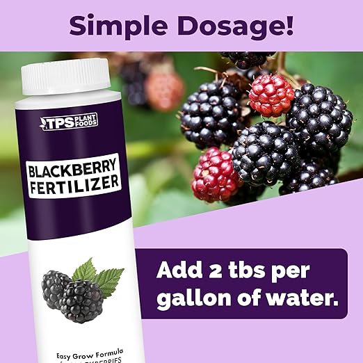 BlackBerry Fertilizer – Liquid Plant Food for Bigger Berries, Better Flowering & Stronger Cane Growth, 8 oz