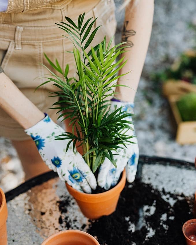 Gardenera's Peace Lily Soil Mix for Thriving Indoor Plants: Hand-Crafted for Optimal Growth [4-Quart Bag]