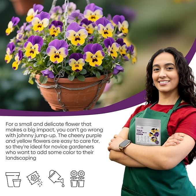 Groundio Johnny Jump Up Seeds, 10000+ Perennial Wild Violet Seeds for Planting, Edible Flowers, Non-GMO | Heirloom | Attracts pollinators, Grown in The USA