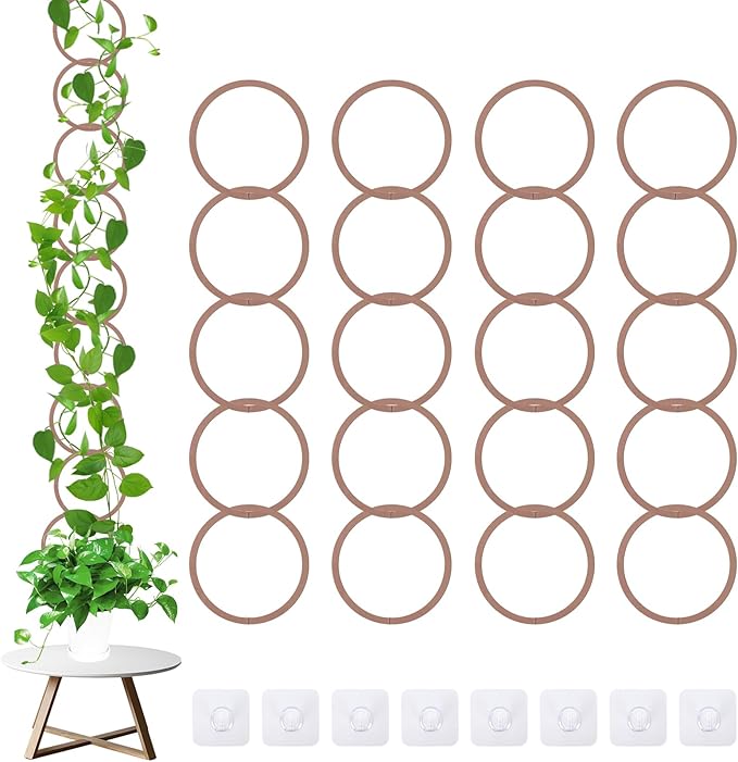20pcs Round Chain Trellis for Climbing Plants Indoor, with 8pcs Self-Adhesive Hooks, HSSZXFR DIY Plant Climber Support for Vines and Garden Wall Trellis, for Monstera Pothos Ivy Flower