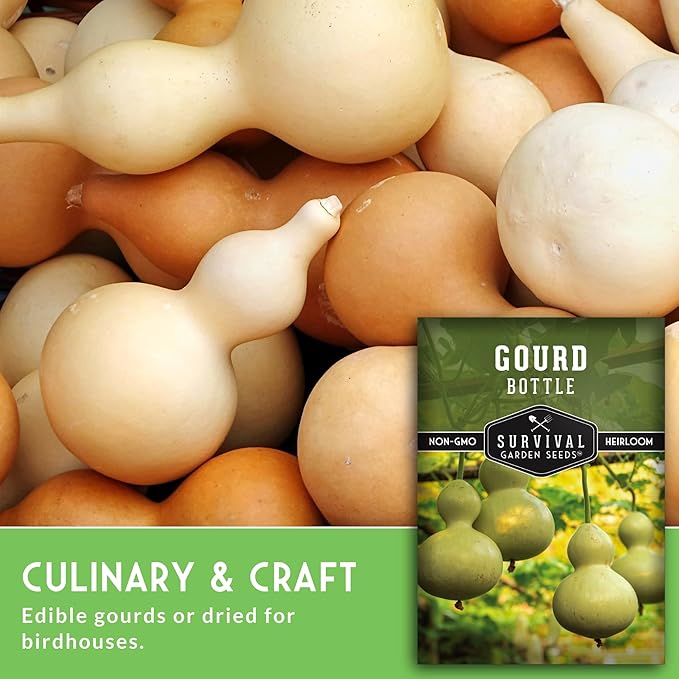 Bottle Gourd Seed for Planting - 2 Packets with Instructions to Plant & Grow Birdhouse or Calabash Gourds in Your Home Vegetable Garden - Non-GMO Heirloom Variety - Survival Garden Seeds