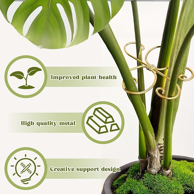 6 Pcs Plant Stem Support, Metal Monstera Plant Support Climbing Plant Stem Holder for Indoor Plant Care Stabilization and Support