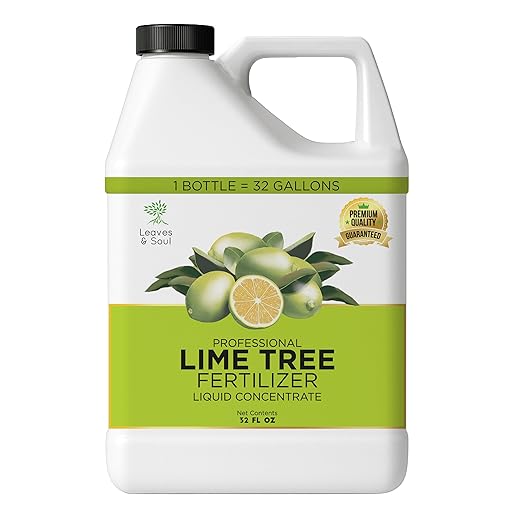 Leaves and Soul Professional Lime Tree Fertilizer Liquid Concentrate - 6-4-6 Blend for Fruit Tree Fertilizer, Garden - Liquid Plant Food for Lime Trees in Pots or Outdoors - 32oz