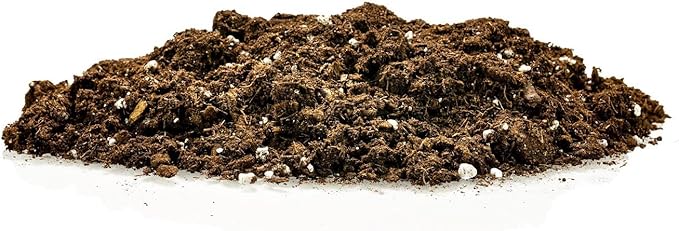 GARDENERA Money Tree Potting Soil Mix for Planting or Repotting Guiana Chestnut, Soil Blended to Properly Grow Money Tree Plants (4 Quart Bag)