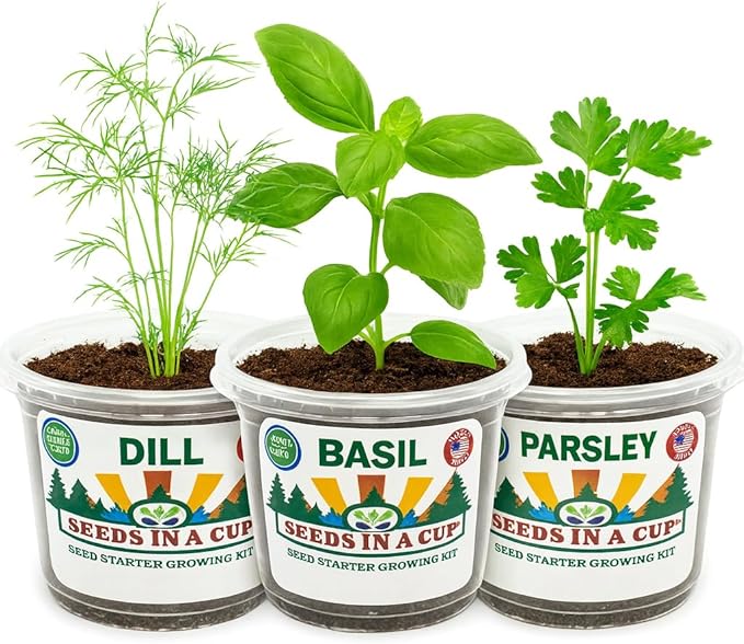 Easy Herb Grow Kit, Indoor Herbs Garden Seed Starter with Premium Seeds and Soil, Great Gift for Mom Dad Him Her Kids and You, Healthy Gift Idea Aromatic Trio: Basil Parsley Dill | Seeds In A Cup