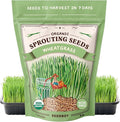 Seedboy Organic Wheatgrass Seeds – Hard Red Spring, Non-GMO, USA Grown Microgreens & Sprouting Seeds – 8 oz Bag Yields 8 Quarts (Hard Red Spring Wheatgrass)