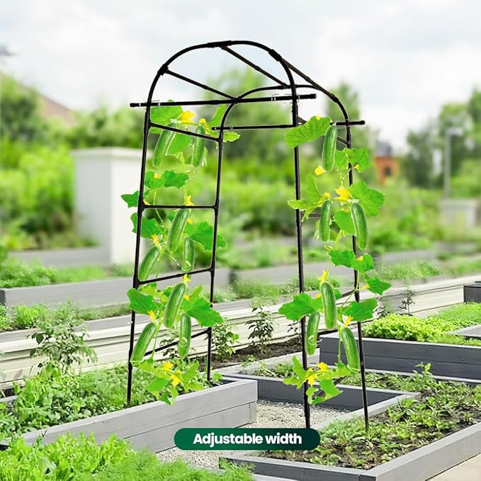 6.6ft Garden Arch Trellis | Walk-Through Plant Support for Climbing Vines Flowers Vegetables Grapes and Tomatoes, Sturdy Outdoor Metal Arbor for Raised Beds