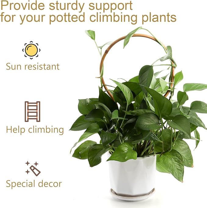 WUWEOT 20 Pack Min Bamboo Trellis, 16 in Loop-Shaped Plant Support Hoop Stake for Potted Plants Climbing, Hoya Plants Ivy Plants Monstera Cucumber and Fruits