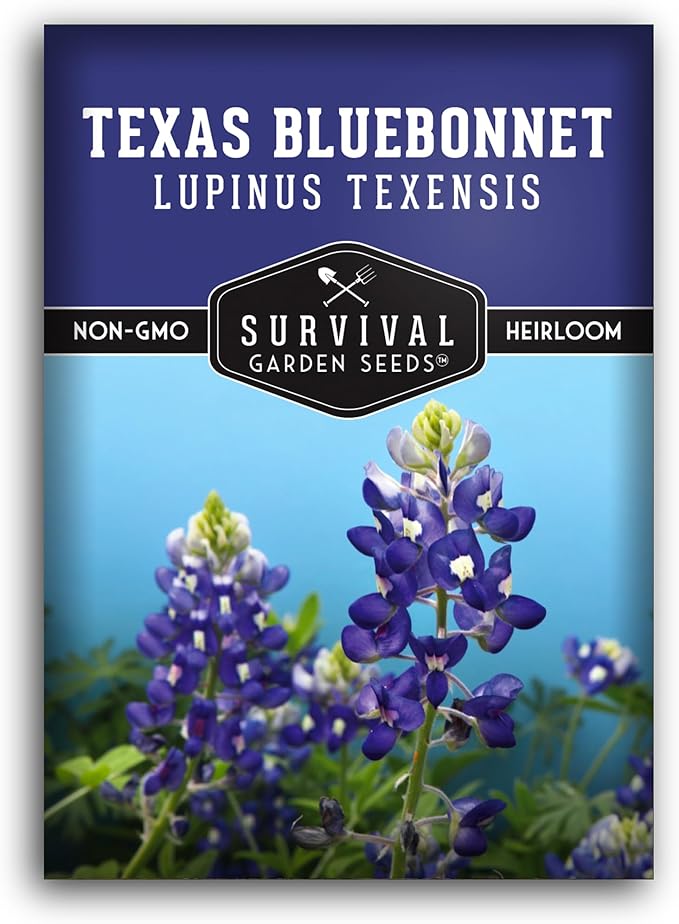 Texas Bluebonnet Seeds for Planting - 1 Packet with Instructions to Plant & Grow Lupinus Texenisis in Your Home Wildflower Garden - Non-GMO Heirloom Variety- Survival Garden Seeds - Drought Resistant