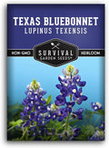 Texas Bluebonnet Seeds for Planting - 1 Packet with Instructions to Plant & Grow Lupinus Texenisis in Your Home Wildflower Garden - Non-GMO Heirloom Variety- Survival Garden Seeds - Drought Resistant