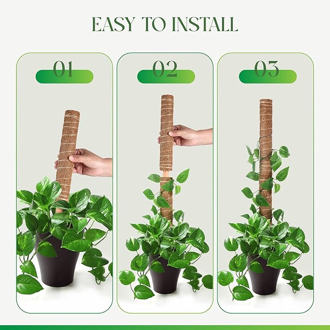 Pisol Moss Pole for Plants Monstera, Extendable Plant Sticks Support, Plant Stakes for Indoor Potted Plant, 15.7'' Coco Coir Pole Plant Trellis for Sphagnum, Pothos and Other Climbing Plants(4 PCS)