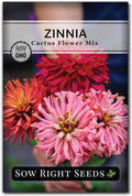 Sow Right Seeds - Zinnia Cactus Flower Seeds for Planting - Beautiful Flowers to Plant in Your Garden - Non-GMO Heirloom Seeds - Red and Pink Variety - Attract Pollinators - Beautiful Cut Flower (1)