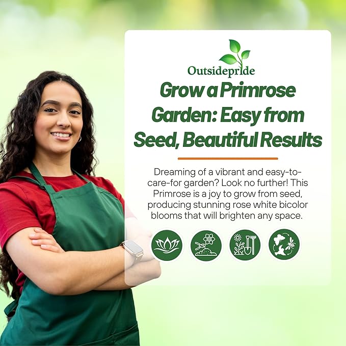 Outsidepride Danova Rose White Common Primrose Seeds - 25 Pcs Annual, Hardy, Easy to Grow & Low Maintenance Flower Seeds for Planting Vibrant Soft Blooms, for Containers, Borders & Erosion Control