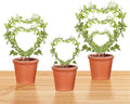 Hoya Trellis 3 Size Indoor Plants Flower Support Stakes Round or Heart Metal Trellis Set Garden Tool Accessories for Small Potted Vine Climbing Houseplants (BlackH)
