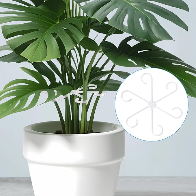 8pcs Plant Stem Support, Plastic Plant Stem Holder for Climbing Plants, 4 Sizes Reusable Houseplant Support Stakes for Orchids Peonies Marigolds Tomatoes Saplings Indoor Outdoor Use- Clear
