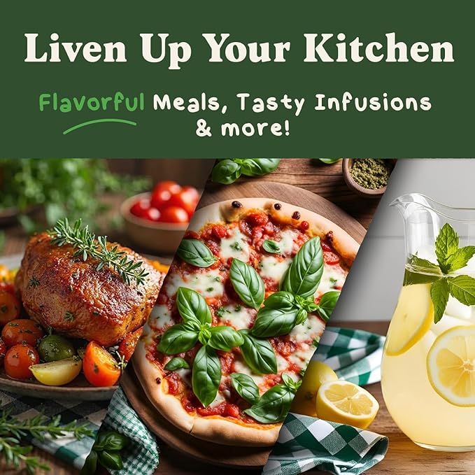 Seedboy Organic Non GMO 10 Herb Variety Pack: Basil, Cilantro, Mint, Oregano, Parsley, Thyme, Chives, Dill, Sage, Rosemary for Planting Indoor and Outdoor, USDA Certified (10 Herb Variety Pack)