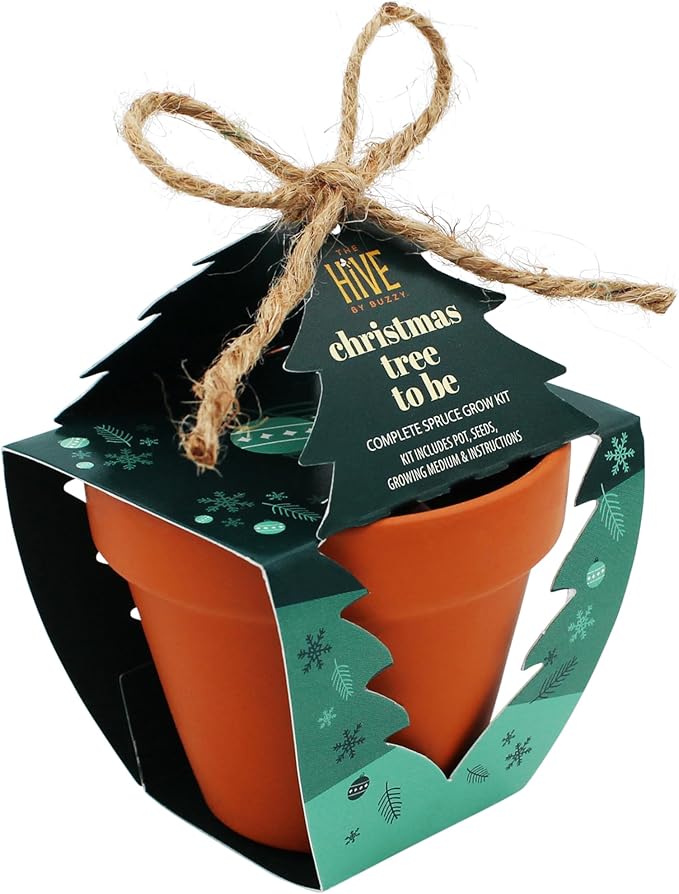 BUZZY Seeds Holiday Spruce Tree Kit 4-Pack Mini Terracotta Pots with Non-GMO Seeds and Growing Medium – Indoor Gardening Gift and Fun Stocking Stuffer for Tree Huggers, Family and Nature Lovers