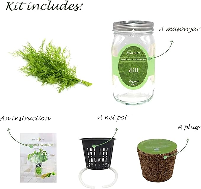 Hydroponic Herb Growing Kit, Self-Watering Mason Jar Herb Garden Starter Kit Indoor, Windowsill Herbs Garden, New Christmas Grden Gift for Mom (Dill)