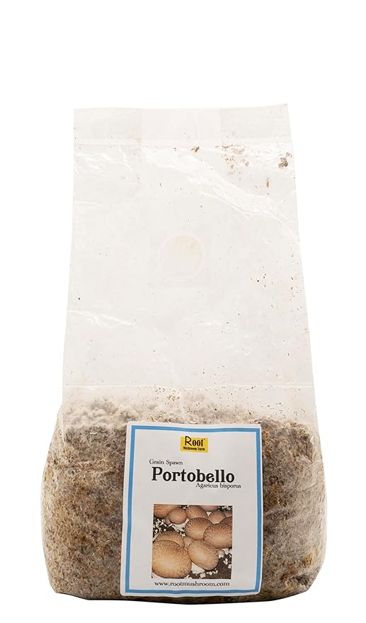 Root Mushroom Farm-Portobello Grain Spawn(NOT A GROW KIT)
