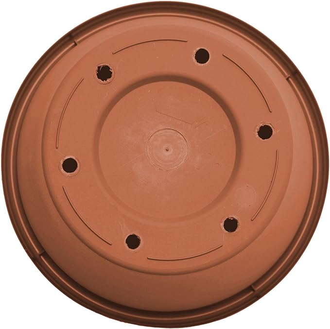 Bloem Terra 8" Diameter Round Terra Cotta Resin Planter Pot with Drainage Holes for Indoor and Outdoor Gardening